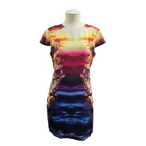 McQ Alexander McQueen Rainbow of the Week Mineral Sunset Print Sheath Dress It44